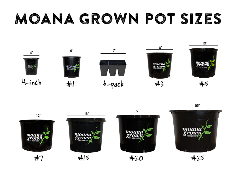 Moana Pot Sizes